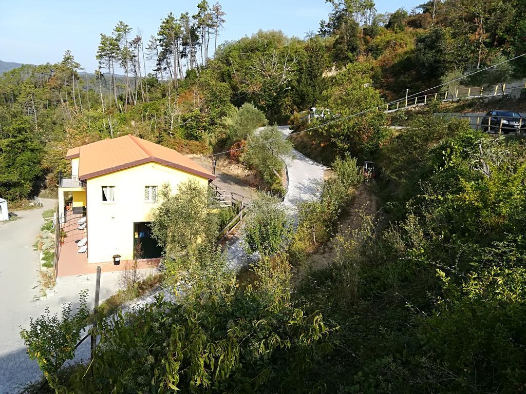 I Gelsi E I Castagni Polverara Exterior foto